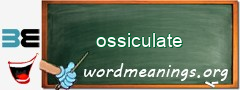 WordMeaning blackboard for ossiculate